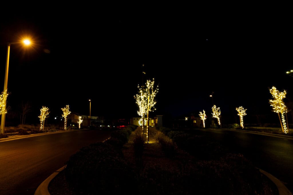 Warm white Christmas lights on street trees along a Las Vegas roadway